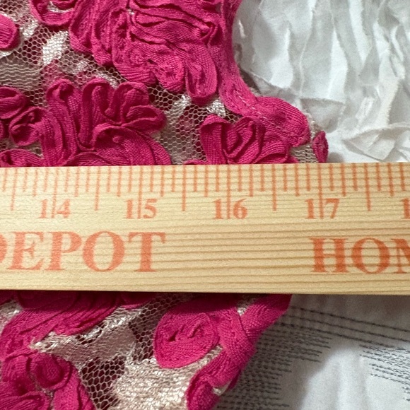 Yoana Baraschi Anthropology Fit and Flare Dress. Mesh with Pink Ribbon Overlay. - Picture 13 of 16